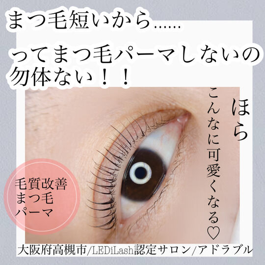 B8894BD5-6C7D-4ABA-B7B0-94D1A8E73F86